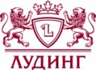 Лудинг-Кемерово